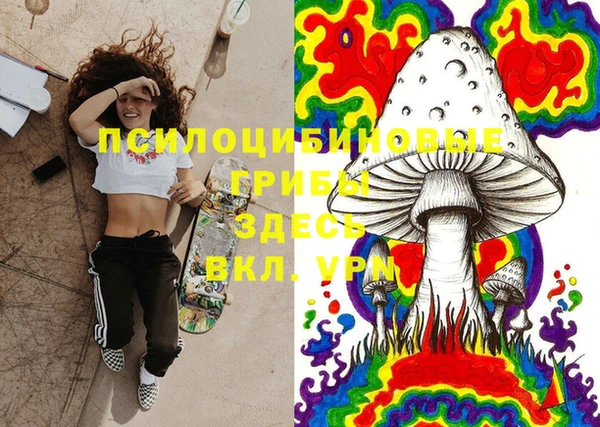 ГАЛЛЮЦИНОГЕННЫЕ ГРИБЫ Нижневартовск