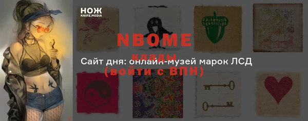 крисы Гусев