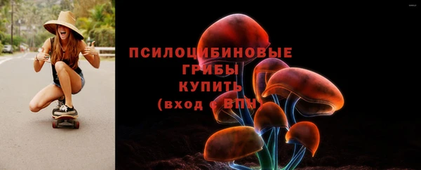 крисы Гусев