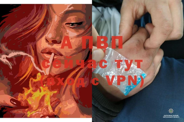 хмурый Гусиноозёрск