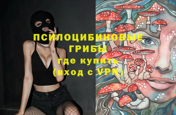 крисы Гусев