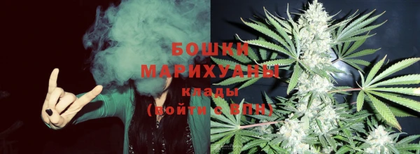 PSILOCYBIN Дмитров