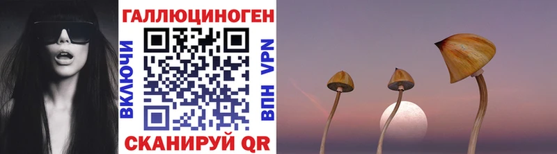 Псилоцибиновые грибы мухоморы  Купить где  Медногорск 