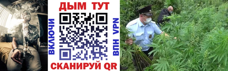 Купить где  Медногорск  Шишки марихуана сатива 